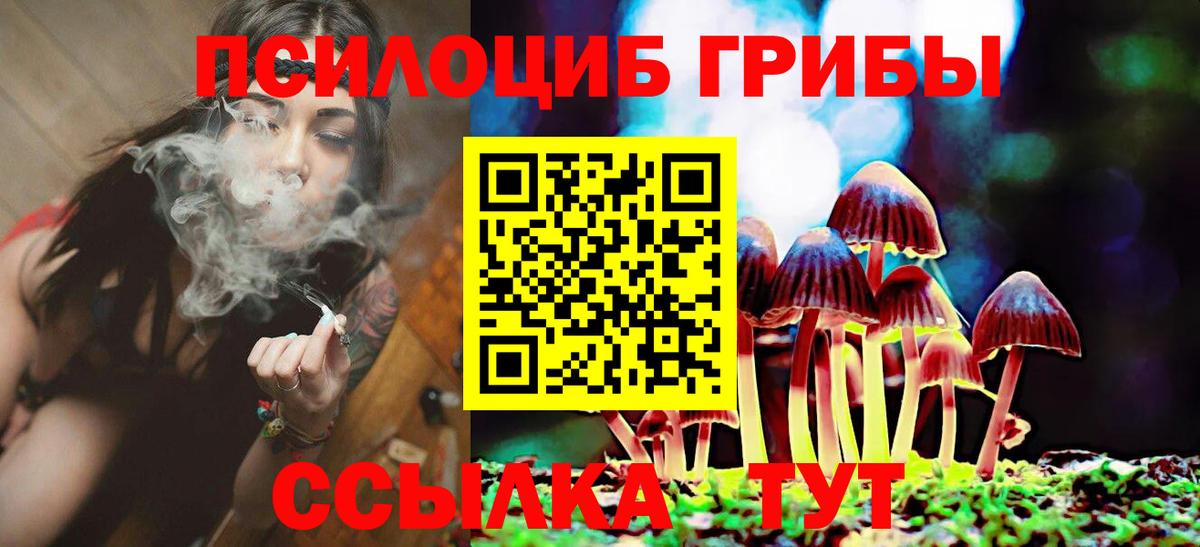 Псилоцибиновые грибы Psilocybine cubensis Великие Луки